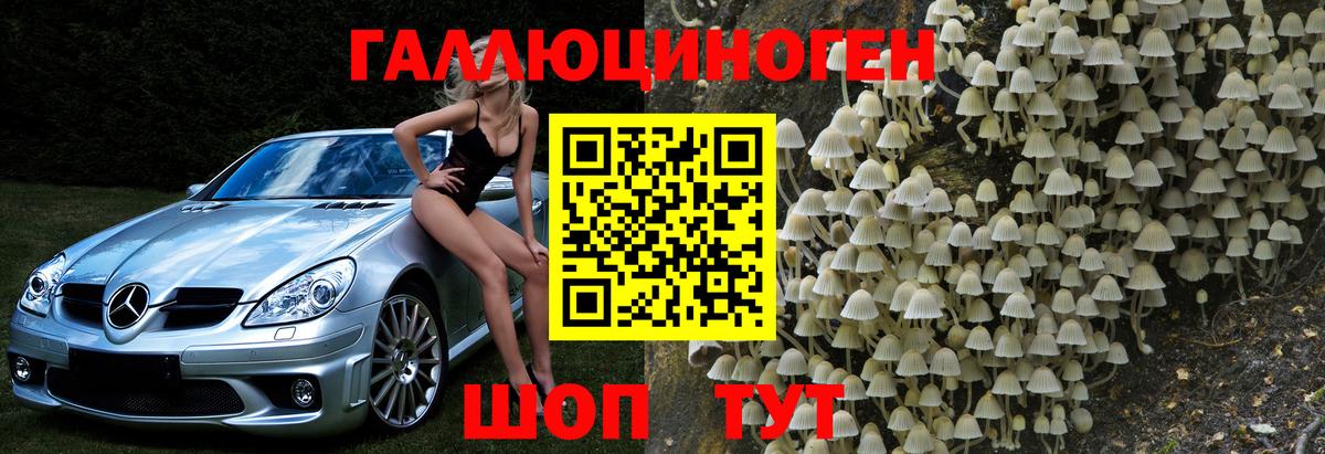 Псилоцибиновые грибы Psilocybe Коряжма