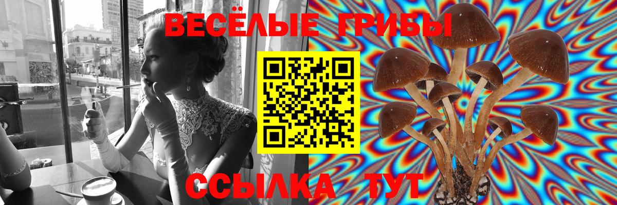 Коряжма  Галлюциногенные грибы мухоморы  Вход с VPN 